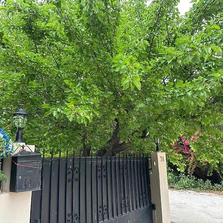 Artemis Apartment,Beach Two-Bedroom Bagian luar foto